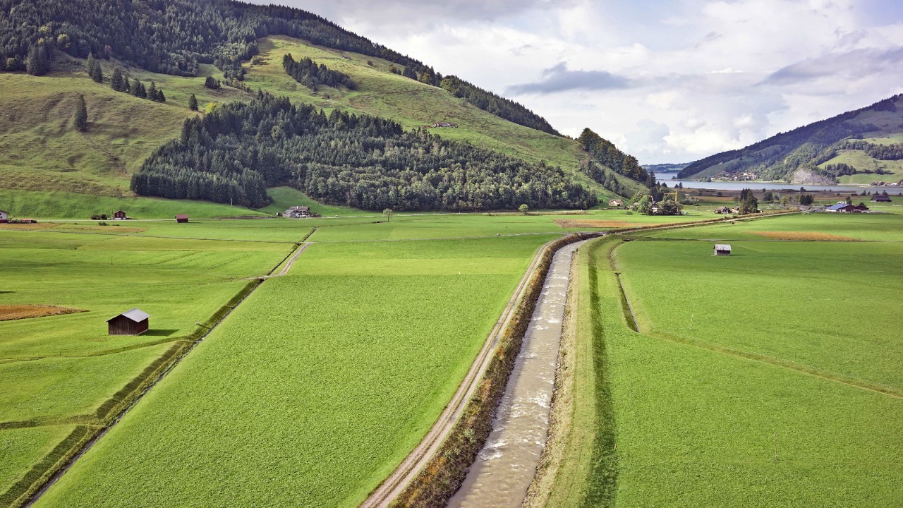 Das Bild zeigt die verbaute Minster heute: Ein kanalisierter, begradigter Fluss, der in den Sihlsee fliesst.