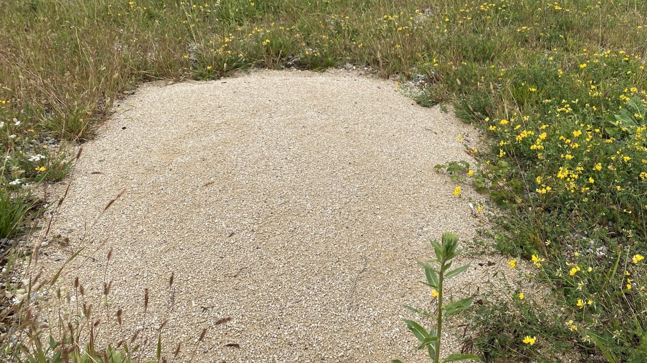 Dune de sable.